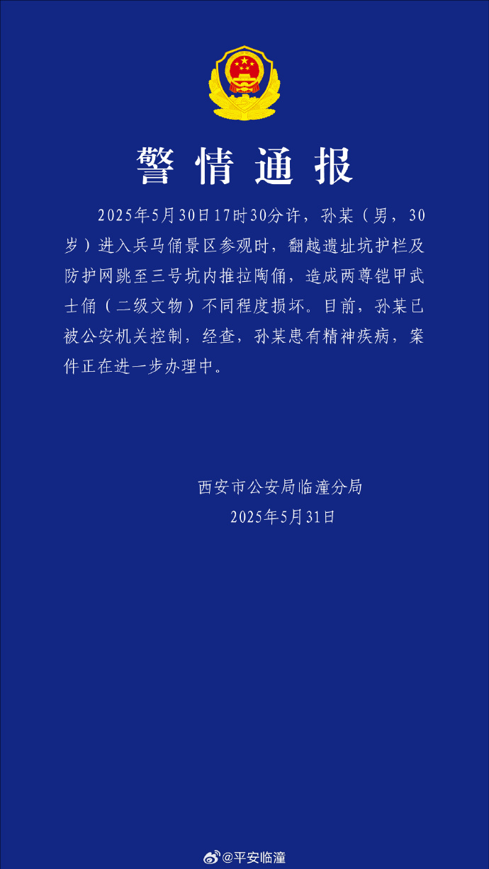 马俑坑推倒兵马俑通报【8点见】男子跳入兵(图4)